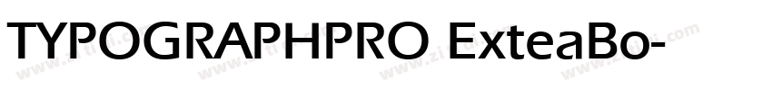 TYPOGRAPHPRO ExteaBo字体转换